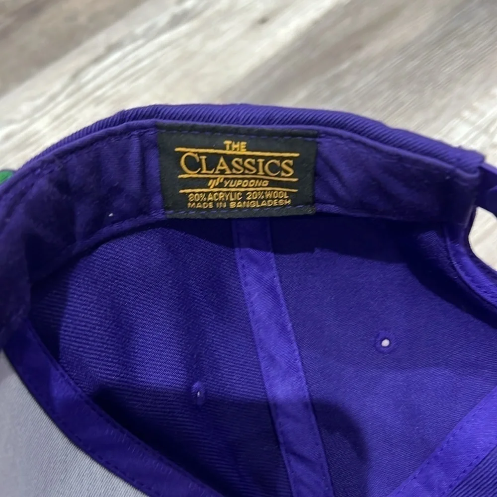 Sway men’s vibrant purple embroidered hat